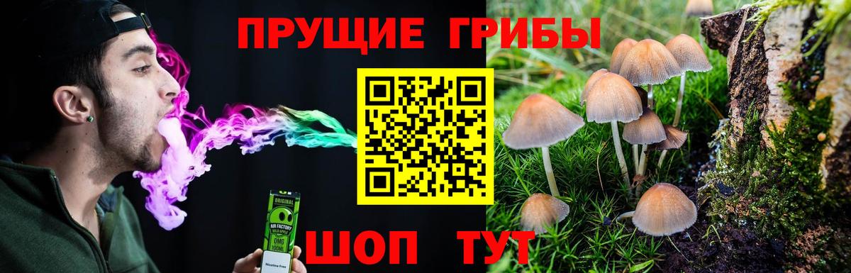 Галлюциногенные грибы Cubensis  Вход с VPN  Галлюциногенные грибы Cubensis  Ртищево 