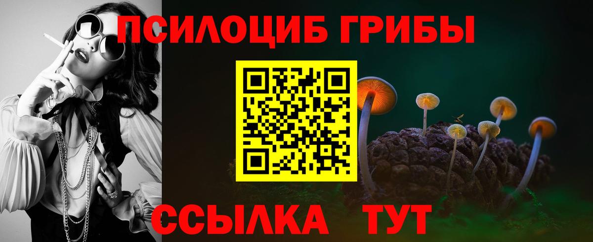 Псилоцибиновые грибы ЛСД Ртищево
